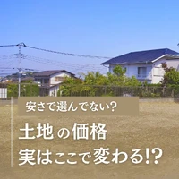画像233