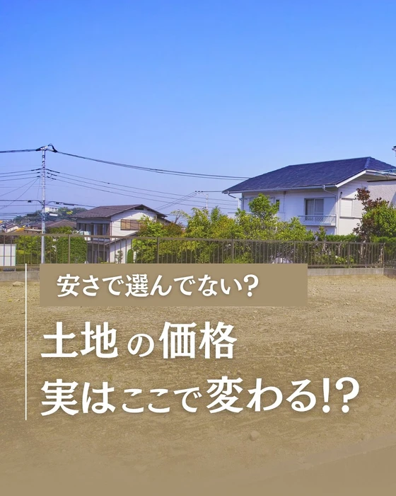 画像233