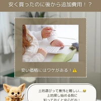 画像234