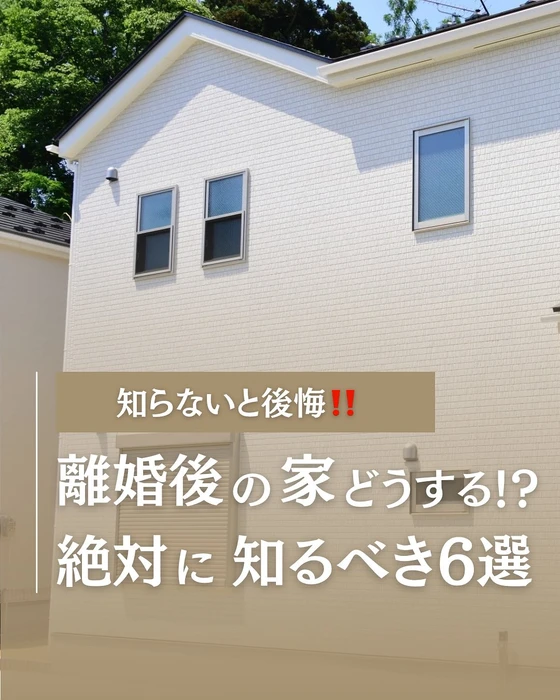 画像244