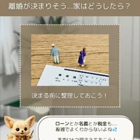 画像245