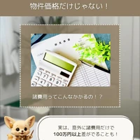 画像256