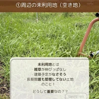画像267