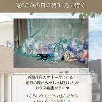 画像269