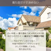 画像333