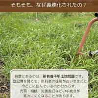 画像411