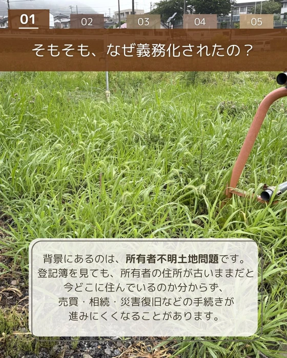 画像411