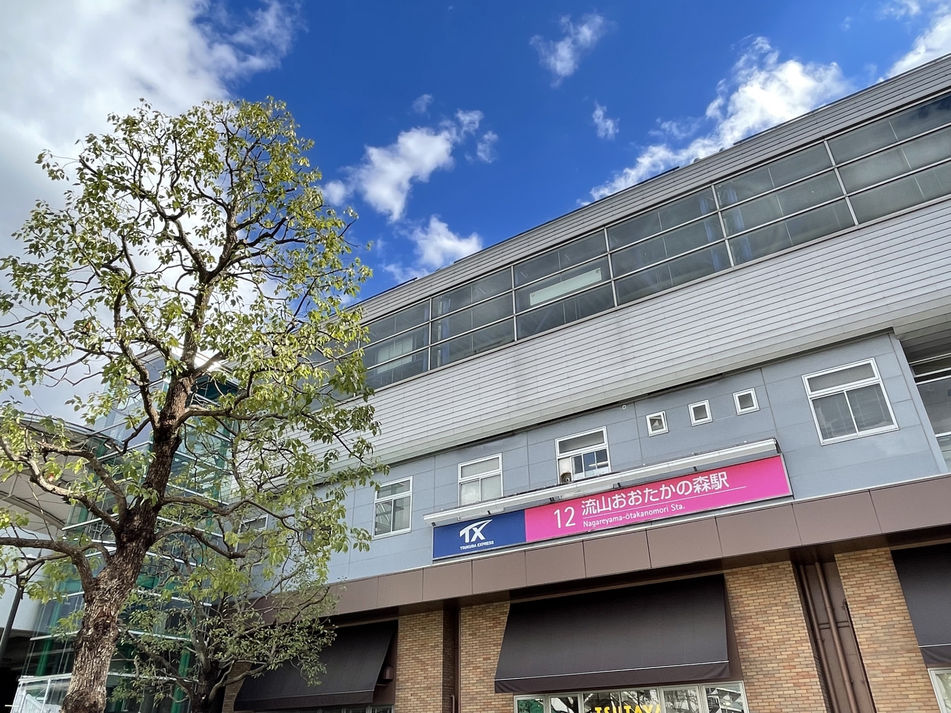 流山における市場動向