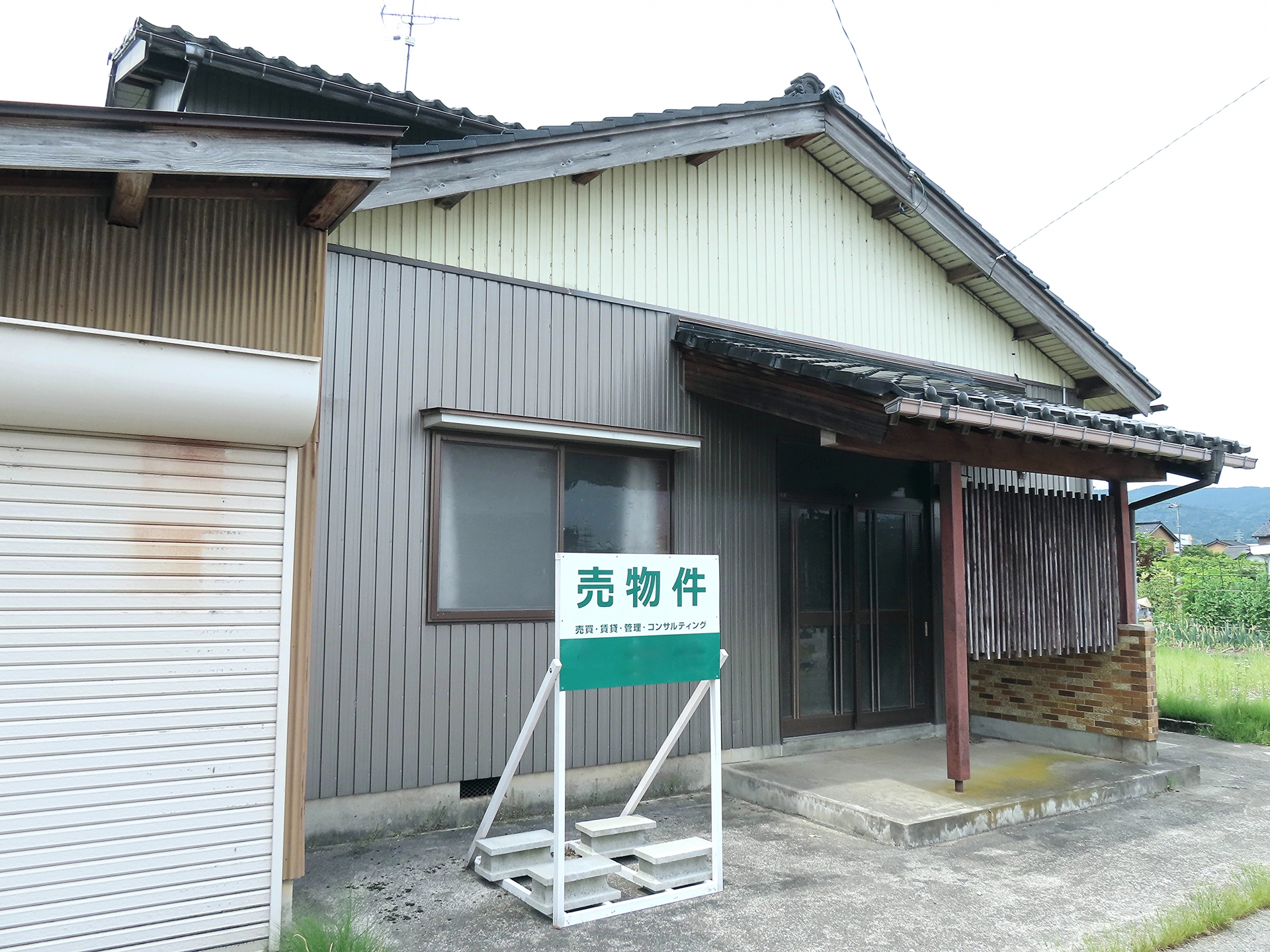 最新の市場トレンド